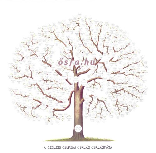 Dr. Csurgai Péter családfája