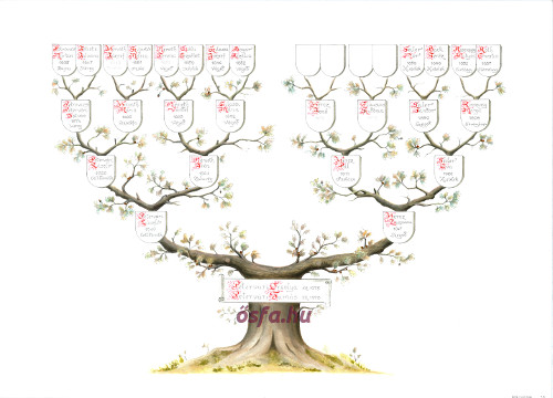 Pétervári Tamás családfája