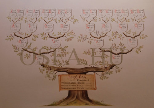 Wippelhauser Zsolt családfája